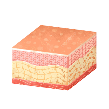 Piel