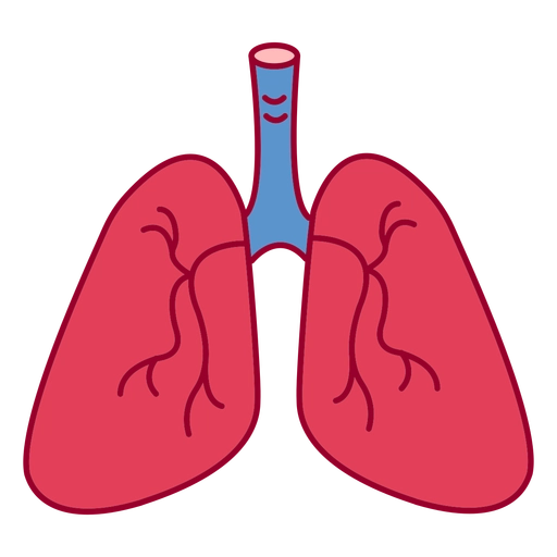 Pulmones